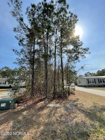 309 Five Aprils Drive, Peletier, NC 28584