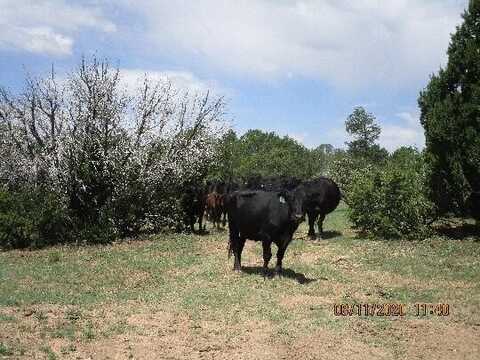 Co Rd B30b (S26 T12 R14), Ribera, NM 87560