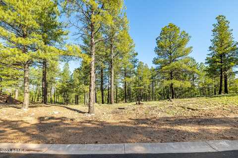 3631 S Woodland Hills --, Flagstaff, AZ 86005