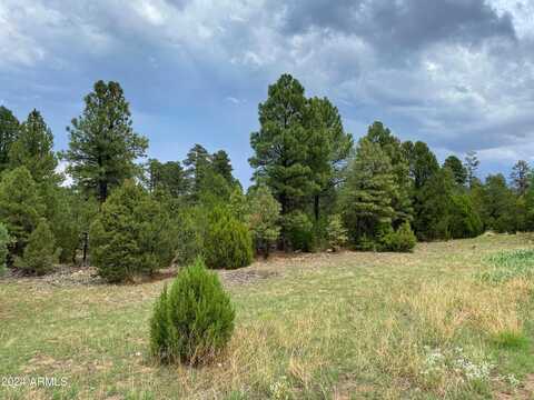 2026 STATE ROUTE 277 --, Overgaard, AZ 85933