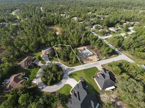 6 PEPPER COURT, HOMOSASSA, FL 34446