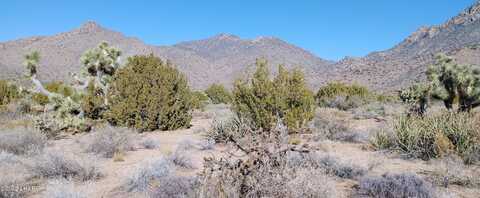 3288-c E Sun Valley Dr, Yucca, AZ 86438