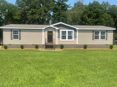 343 MOUNT PLEASANT, Pineview, GA 31071