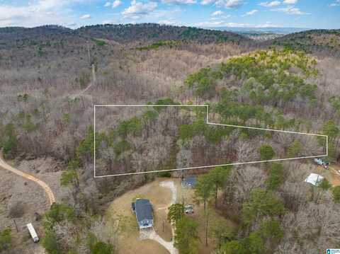 4074 HUNTWELL LANE, BIRMINGHAM, AL 35235