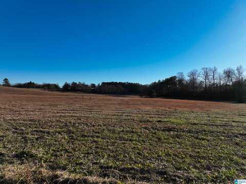 00 OLD WEST ROAD, THORSBY, AL 35171