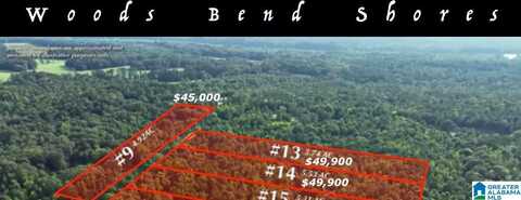 Lot 13 WESTER ROAD, RAGLAND, AL 35131