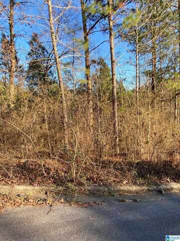 0 WOODLAND HILLS DRIVE, SPRINGVILLE, AL 35146