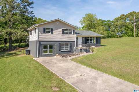 3200 HALL DRIVE, SOUTHSIDE, AL 35907