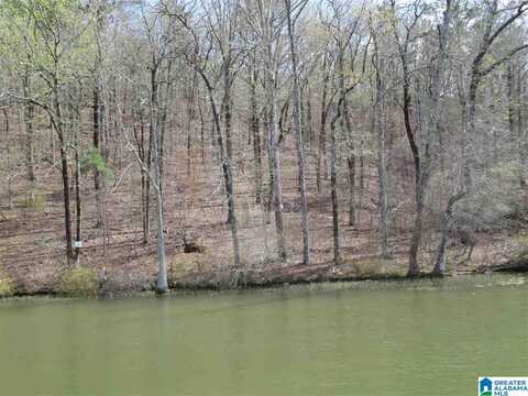 Lot 17 EAGLE POINT TRACE, ROCKFORD, AL 35136