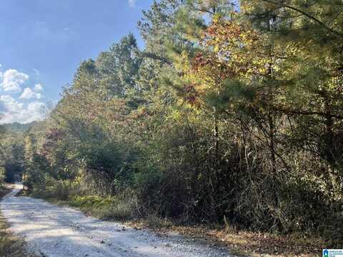 COUNTY ROAD 910, DELTA, AL 36258