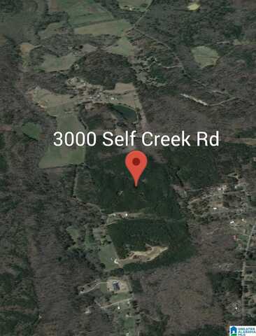 3000 SELF CREEK ROAD, WARRIOR, AL 35180