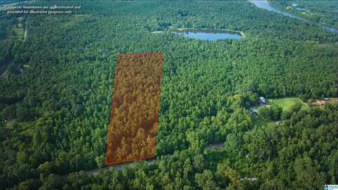 Lot 14 WESTER ROAD, RAGLAND, AL 35131