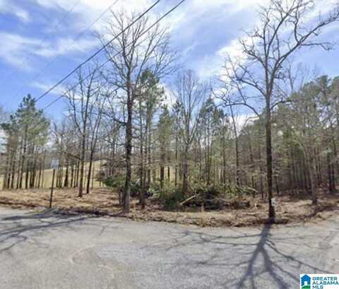 0 LAKESHORE LOOP, ONEONTA, AL 35121