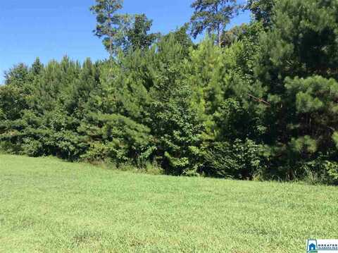 LOT 1 INDIAN GATE CIRCLE, BIRMINGHAM, AL 35242