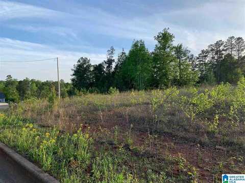 0 PEACEBURG ROAD, WEAVER, AL 36277