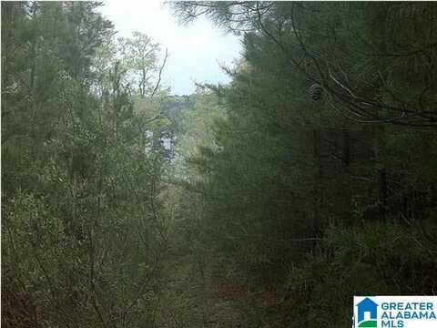 1 COUNTY ROAD 919, CLANTON, AL 35046