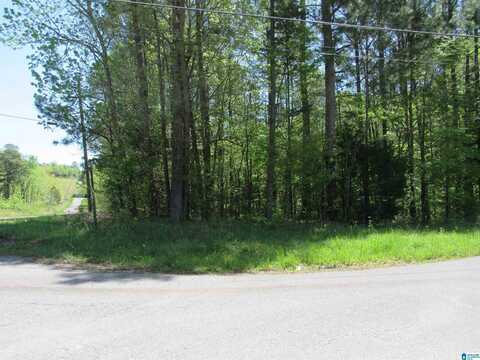 LOT 2 INDIAN CREEK TRAIL, WARRIOR, AL 35180