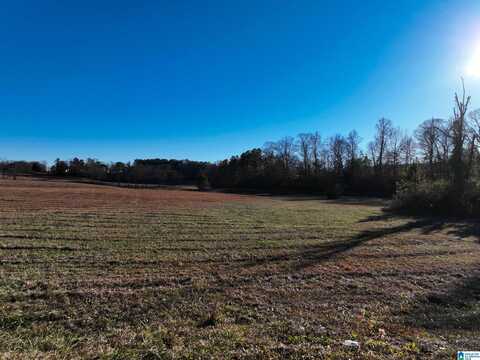 000 OLD WEST ROAD, THORSBY, AL 35171