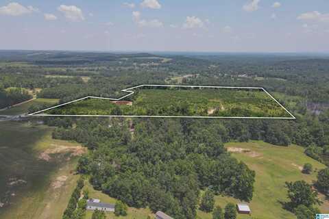 0 HIGHWAY 145, CLANTON, AL 35046