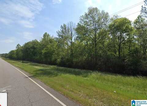 HIGHWAY 25, COLUMBIANA, AL 35051