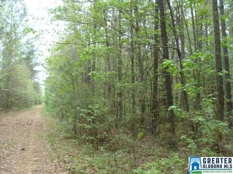 00 BLACKBERRY RIDGE ROAD, VANCE, AL 35490