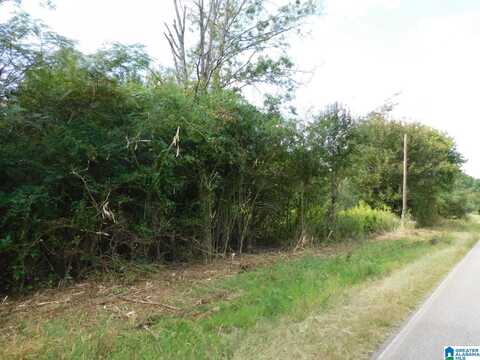 1409 CRESWELL ROAD, HARPERSVILLE, AL 35078