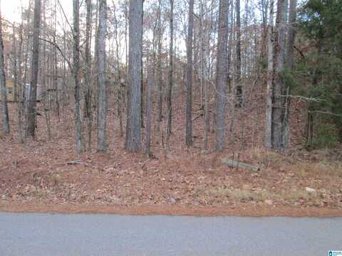 PARSONS DRIVE, VANCE, AL 35490