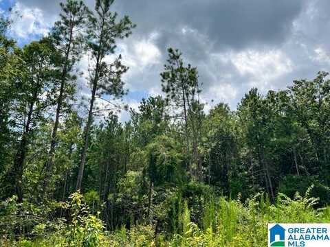 00 SAINT MARY ROAD, COUNTY, AL 35096