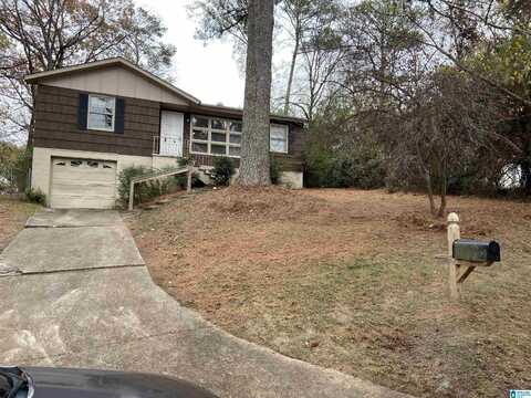 1505 5TH PLACE, BIRMINGHAM, AL 35215