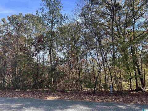 0 WATER OAK LANE, ALPINE, AL 35014