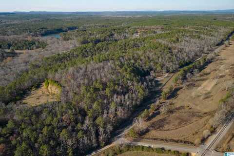 Lot 5 HERITAGE LAKE DRIVE, COLUMBIANA, AL 35051