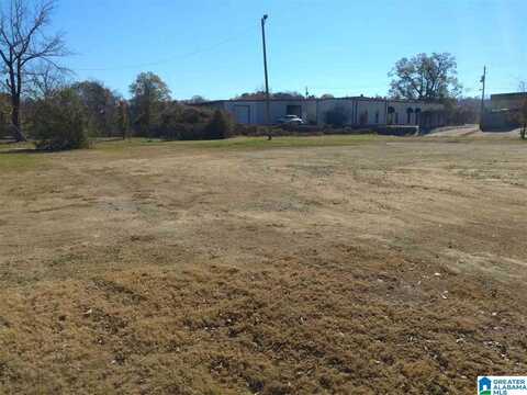 6178 HIGHWAY 11, SPRINGVILLE, AL 35146