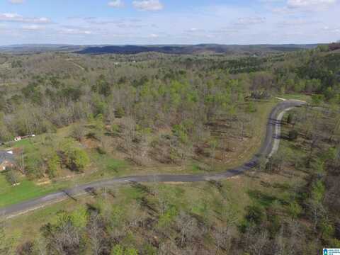 STONE RIDGE DRIVE, SPRINGVILLE, AL 35953