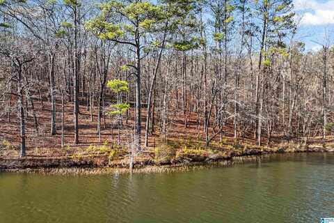 Lot 5 BIG Y COVE LOOP, ROCKFORD, AL 35136