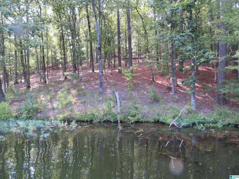 Lot 5 BIG Y COVE LOOP, ROCKFORD, AL 35136