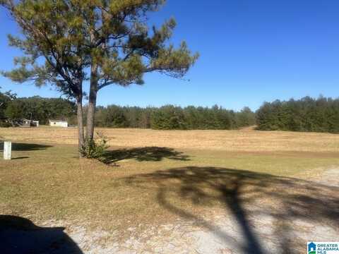 153 COUNTY ROAD 153, JEMISON, AL 35085