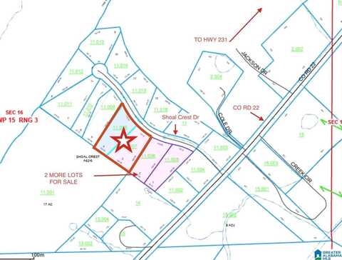 000 SHOAL CREST DRIVE, ASHVILLE, AL 35953