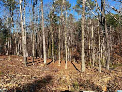 0 HONEY ACRES, STERRETT, AL 35147