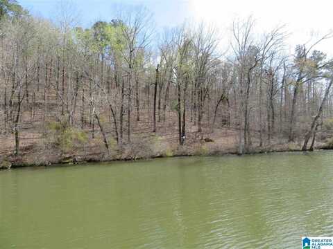 Lot 16 EAGLE POINT TRACE, ROCKFORD, AL 35136