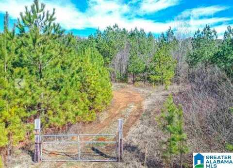 0 HIGHWAY 174, SPRINGVILLE, AL 35146