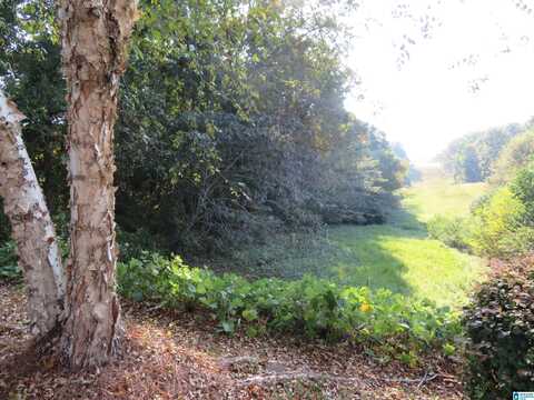 Lot 38 SAINT SIMONS WAY, DEATSVILLE, AL 36022