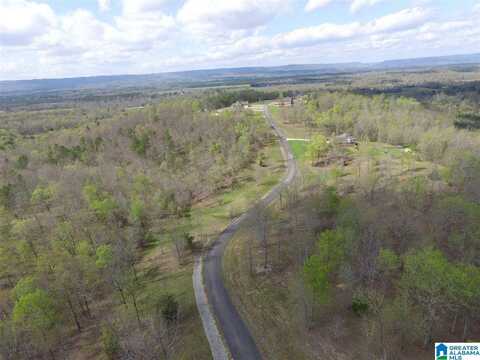 STONE RIDGE DRIVE, SPRINGVILLE, AL 35146