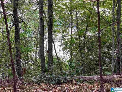 1001 OLD PATTON FERRY ROAD, ADGER, AL 35006