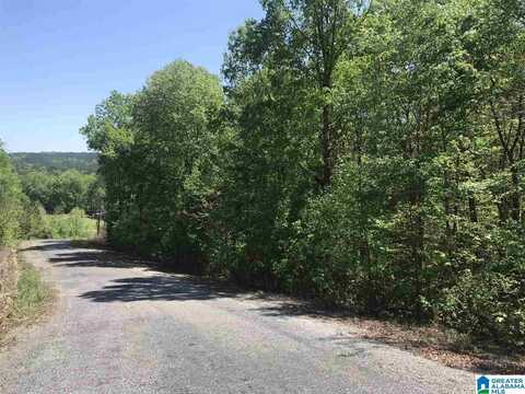 00 SHOAL CREST DRIVE, ASHVILLE, AL 35953