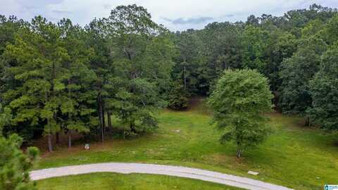 Lot 1 BROOKVIEW LANE, HELENA, AL 35080