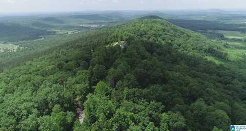 0 BEAVER MOUNTAIN ROAD, ASHVILLE, AL 35953