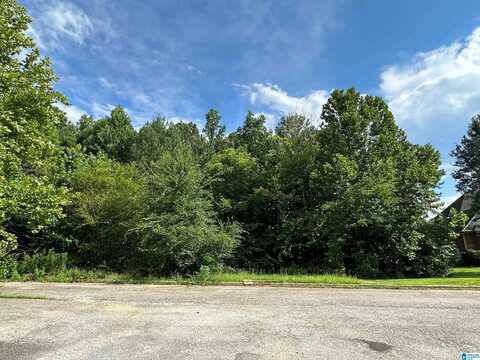 7763 CLAYTON COVE PARKWAY, PINSON, AL 35126