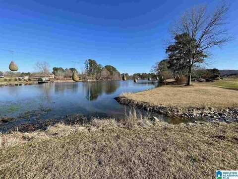 2 RICHLAND WAY, SOUTHSIDE, AL 35907