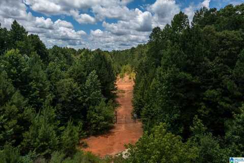 DEER RIDGE DRIVE, CHELSEA, AL 35043