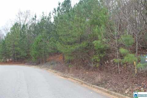 0 HICKORY VALLEY ROAD, TRUSSVILLE, AL 35173